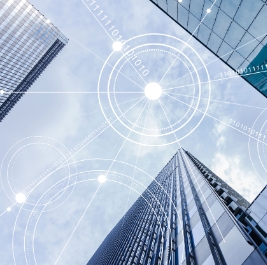 外資企業(yè)設(shè)立